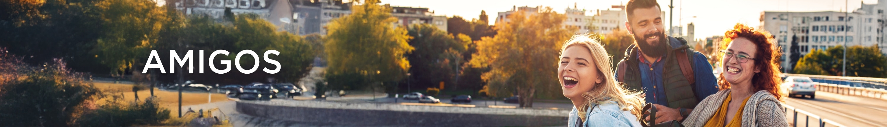 Amigos