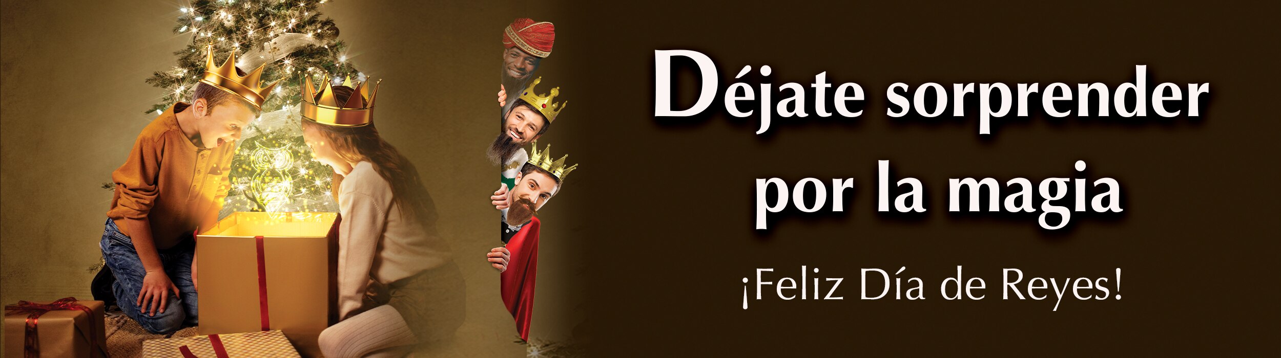 Banner Principal