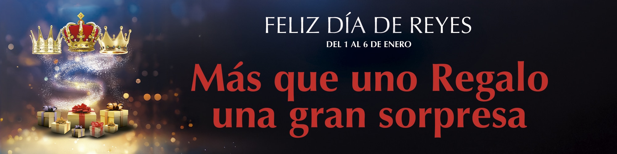 Banner-principal