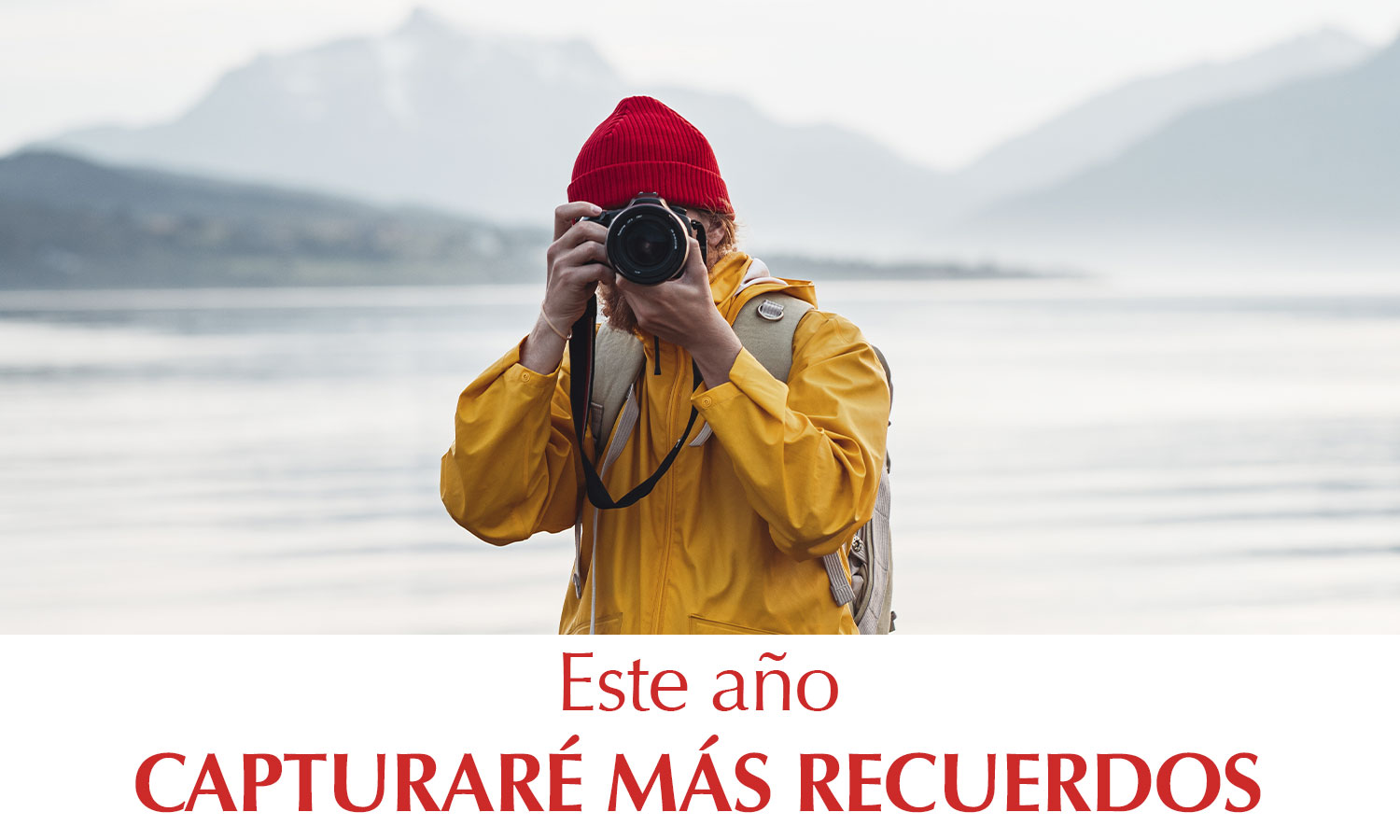 Propósitos Capturar