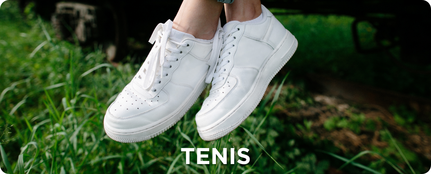 Tenis