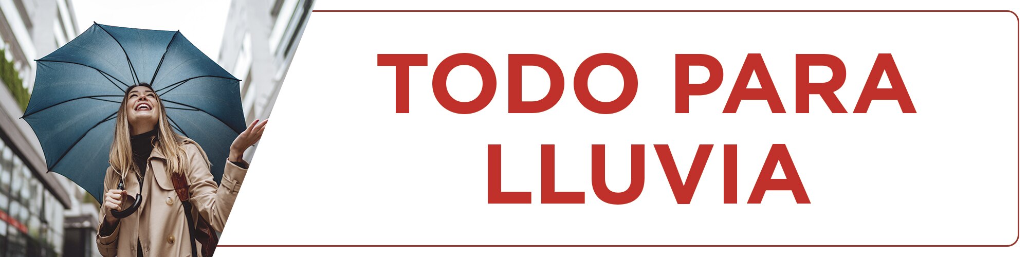 Banner-principal