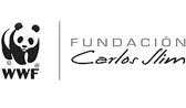 logo3